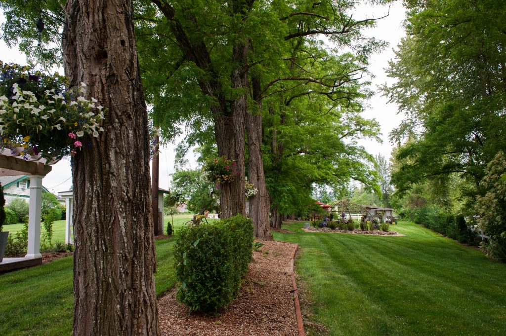 Versatile Garden and Lawn Space at Wine and Roses Country Estate photographed by Amanda Howse