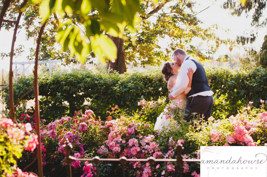 Bride & groom portraits in a garden Photographed by Tacoma Wedding Photographer Amanda Howse