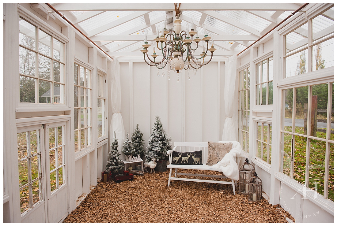 How to Style a Glass House for Family Portraits | Fall Family Portraits in Tacoma | Photographed by Amanda Howse | Glasshouse with chandelier, white curtains, wood chip floor, Christmas decorations, white bench with cozy throw pillow and blanket, vintage lanterns