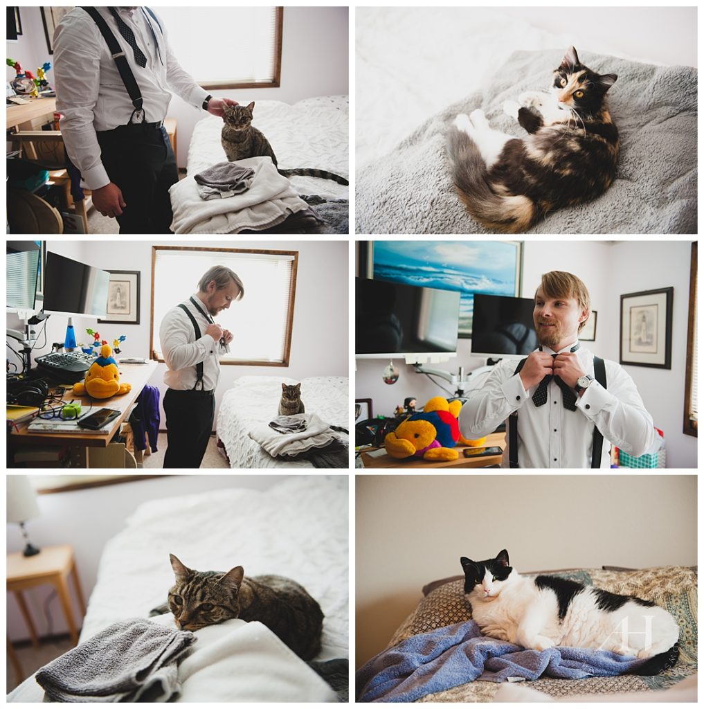 Groom Getting Ready with Cats | How to Include Your Cats on Your Wedding Day, Backyard Vancouver Wedding, Wedding Details | Photographed by the Best Tacoma Wedding Photographer Amanda Howse