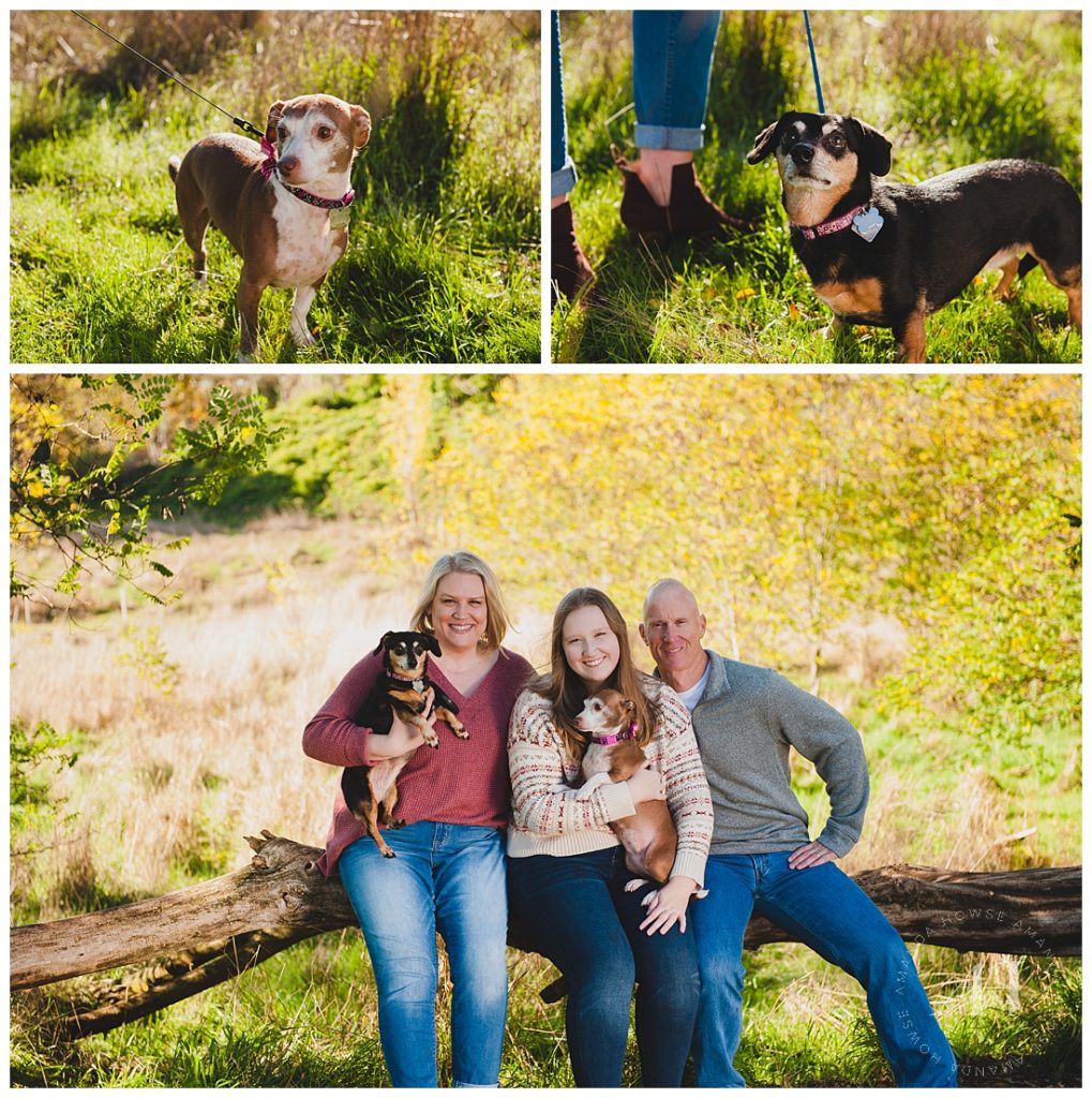 Pet-Friendly Family Portraits | PNW Family Photo Locations | Photographed by the Best Tacoma Family Photographer Amanda Howse Photography