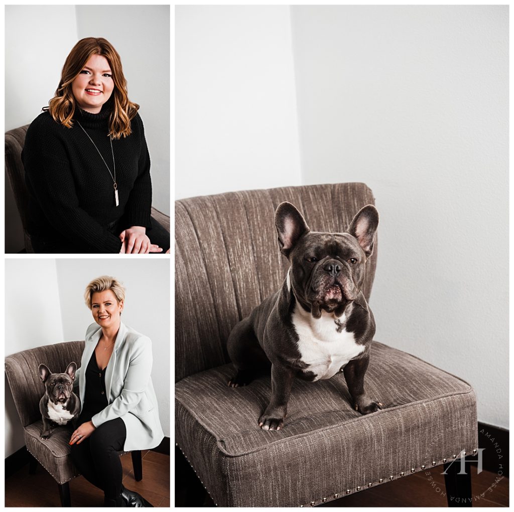 Business Portraits with Furry Coworker | Photographed by the Best Tacoma Washington Business Photographer Amanda Howse Photography